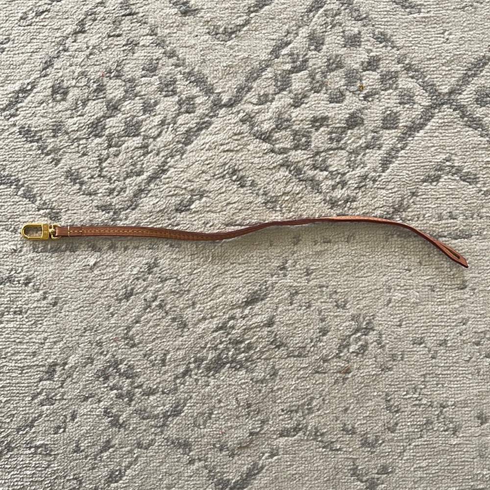 Louis Vuitton Neverfull Pochette Strap